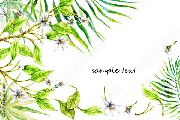 Fototapeta greeting card on a white background hand-drawn with watercolor and markers tropical green leaves and white and cream flowers for use in design, card, banner