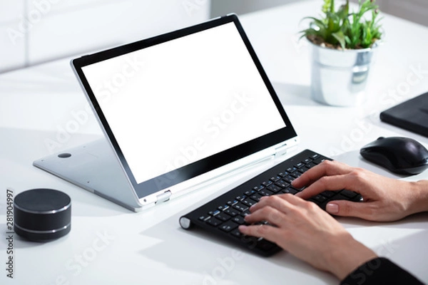 Fototapeta Businesswoman Working On Laptop