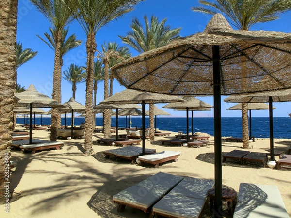 Fototapeta Beach at the luxury hotel with lots of beach umbrellas and lounger , Sharm el Sheikh, Egypt