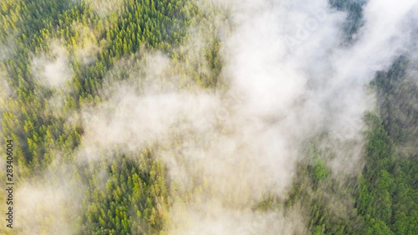 Fototapeta Aerial view of tropical rainforest covered by cloud and fog.