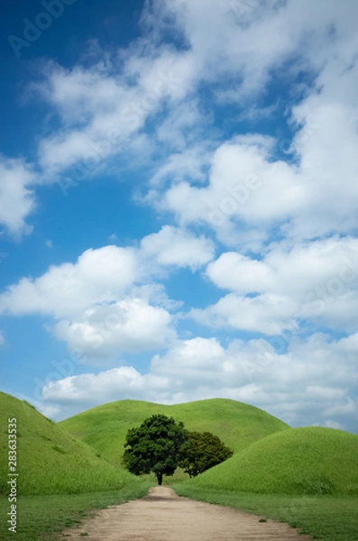 Fototapeta 경주 대릉원 하늘 (세로) blue sky