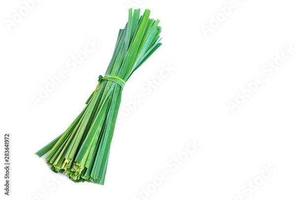 Fototapeta lemon grass leaf