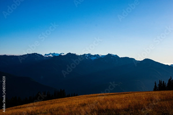 Fototapeta Sunset over Hurricane Ridge in Olympic National Park, near Port Angeles, Washington State, Pacific Northwest