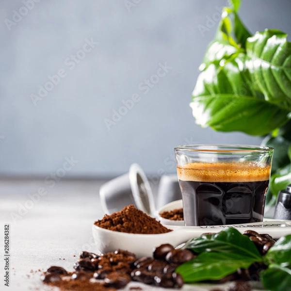 Fototapeta Coffee freshly brewed in a glass cup serving with beans and leafs. Food beverage background with copy space.