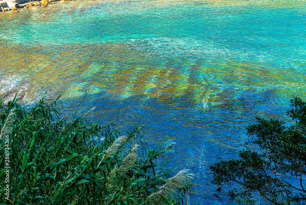 Fototapeta 美しい日南海岸の波状岩風景15