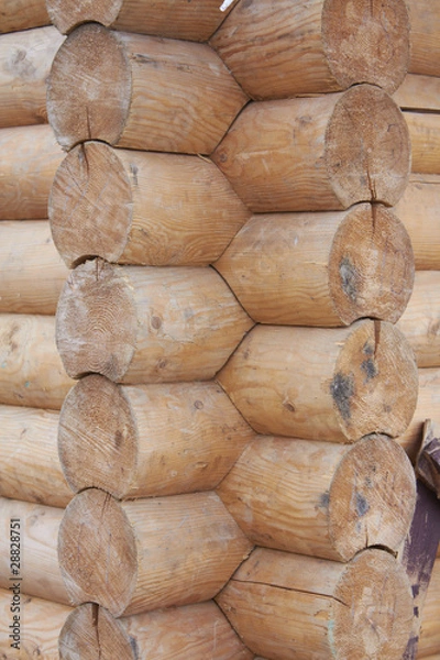 Fototapeta Wall of a rural log house from the fresh cut logs