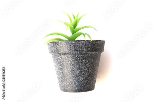 Obraz Potted plastic plants and flowers for decorations. Container made of aluminium, plastic, ceramic as well as clay. Plants include Cactus, cacti, beautiful green leaves and red flowers.