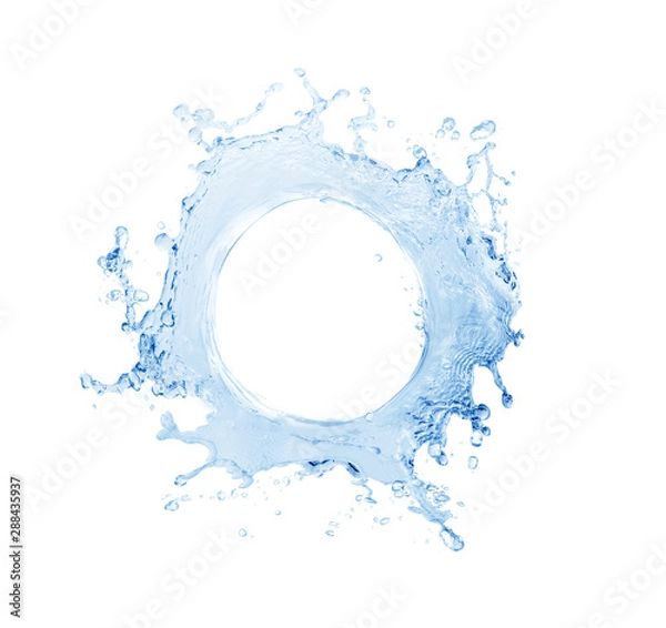 Fototapeta Water splash,water splash isolated on white background,water