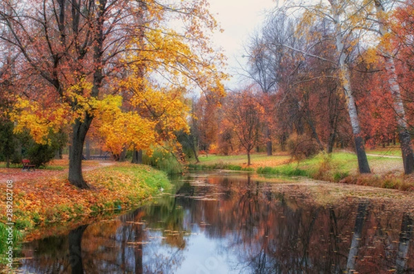 Fototapeta Autumn scenery with colored trees reflected in the river, Arboretum Oleksandriya, Bila Tserkva, Ukraine