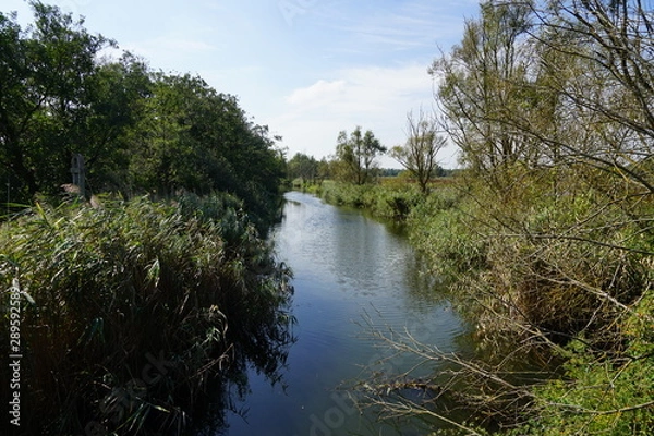 Fototapeta Sonnige, idyllische Flusslandschaft (Lübecker Bucht)