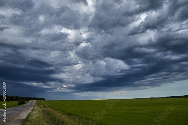 Fototapeta country road along the field under heavy clouds