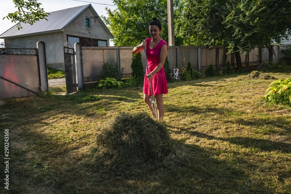 Fototapeta Sporty young brunette woman in pink dress collects mowed grass using rake in fronte of the house