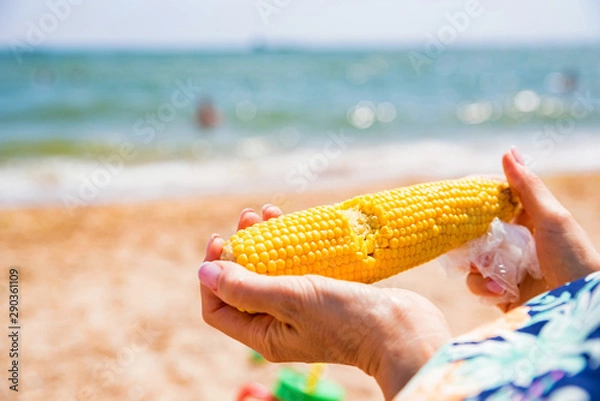 Fototapeta Hands hold boiled corn on sunny beach