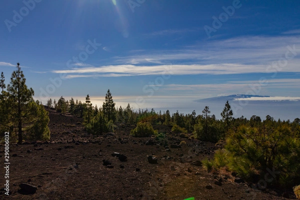 Fototapeta Tenerife