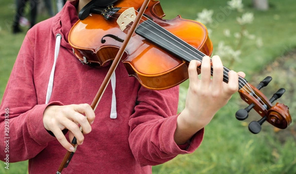 Fototapeta hands of a street musician girl with violin close up