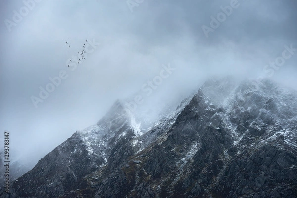 Fototapeta Stunning detail landscape images of snowcapped Pen Yr Ole Wen mountain in Snowdonia during dramatic moody Winter storm with birds flying high above