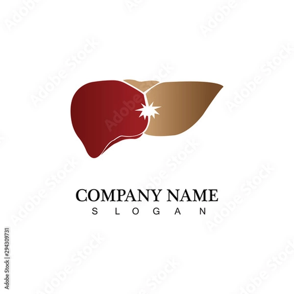 Fototapeta vector liver icon flat logo