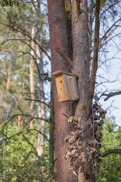 Fototapeta New wooden birdhouse on a tree for forest birds in the forest