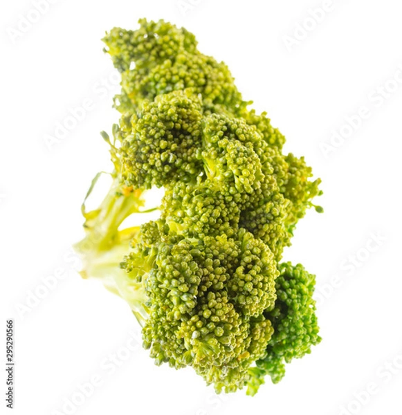 Obraz Broccoli cabbage on a white background