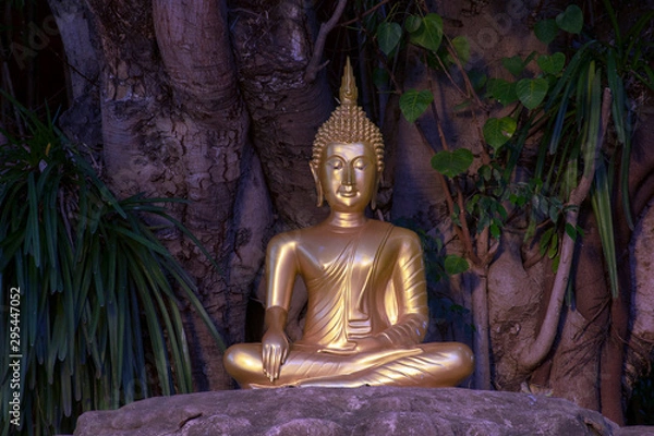 Fototapeta Buddha statue under tree at Wat Phan Tao, Chiang Mai, Thailand