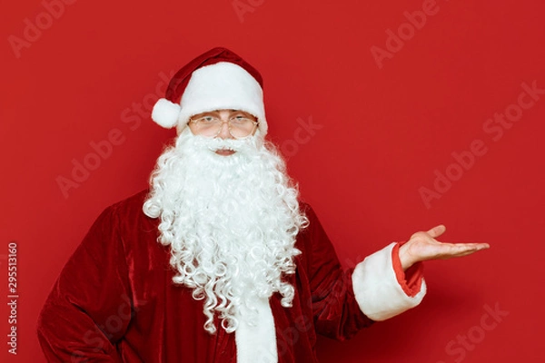 Fototapeta Portrait of positive santa claus isolated on red background shows his hand on a blank space and smiles. Funny Santa stands on red background and shows her hand on copyspace. Xmas concept