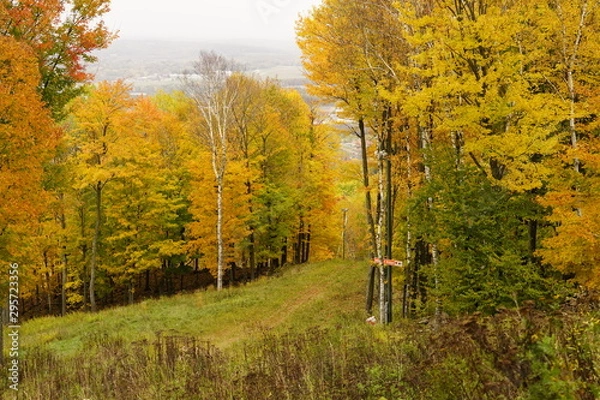 Fototapeta Wisconsin's Fall Autumn season color landscape photography. The beauty of autumn color season change.