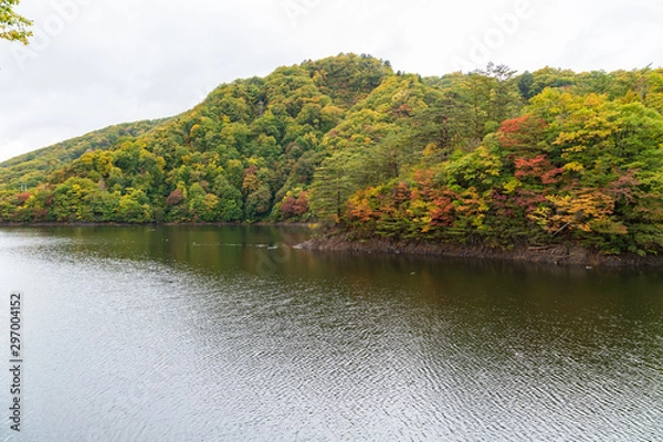 Fototapeta Moriyoshi Park in early autumn