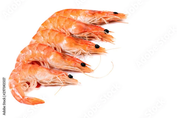 Fototapeta Five cooked shrimps prawn isolated