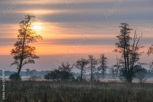 Fototapeta jesienny wschód słońca