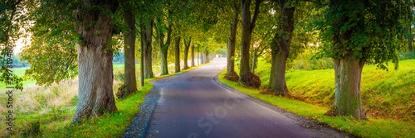 Fototapeta Avenue panorama ulicy jesienią - wyspa Rugia