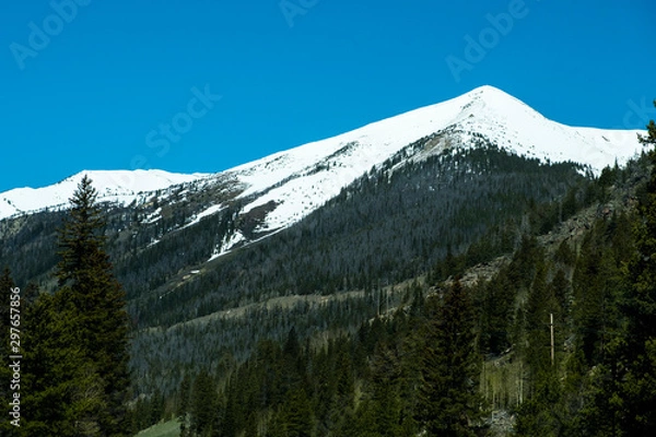 Fototapeta Snow mountain in the summer