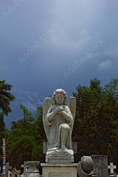 Fototapeta Guardian Angel