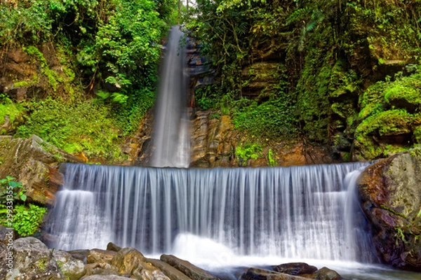 Fototapeta waterfall in forest