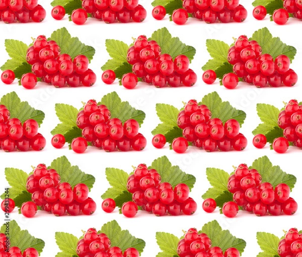 Fototapeta Red currants isolated on white background cutout.Creative layout, fruit seamless pattern.