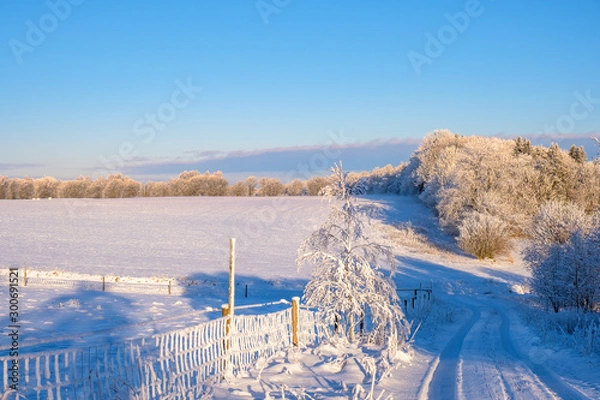 Fototapeta Dirt road at a field in a winter landscape