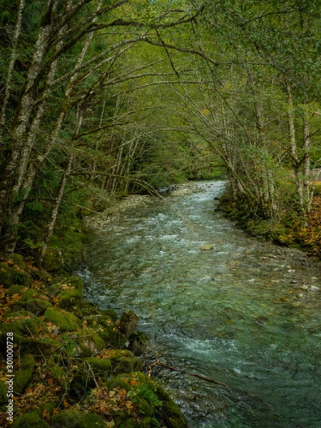 Obraz Autumn River