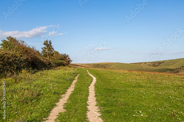 Fototapeta A pathway through a green rural landcape near Lewes in Sussex, on a sunny summers  evening