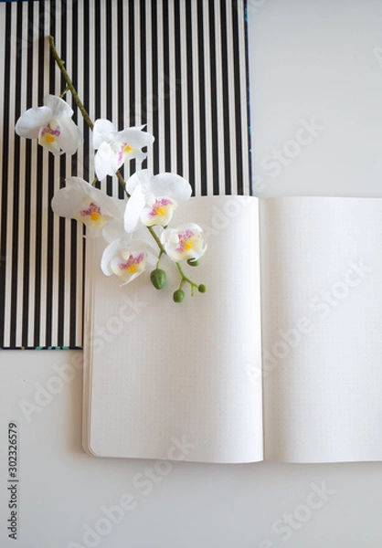 Obraz Notebook on white desk arranged with pencils, orchid and striped pattern - diagonal side view