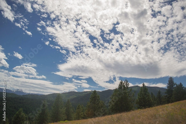 Fototapeta Scenic view of forest from top of mountain