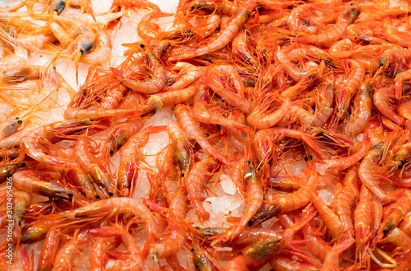 Fototapeta Fresh prawns at fish market