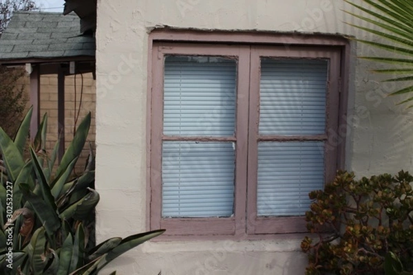 Fototapeta old window with plants