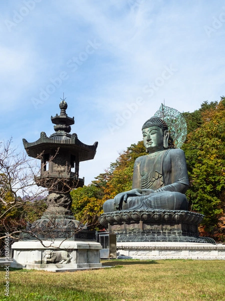 Fototapeta figure of Buddha Tongil Daebul in Sinheungsa