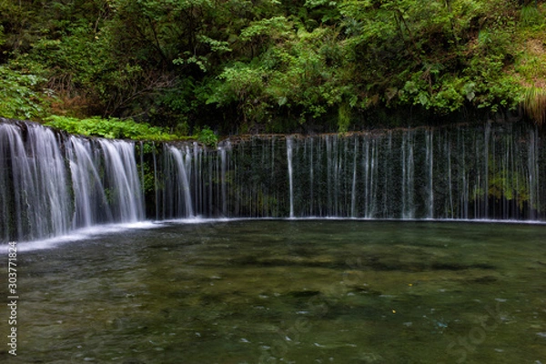 Fototapeta waterfall in forest