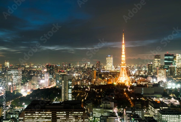 Fototapeta Tokyo city skyline at dusk