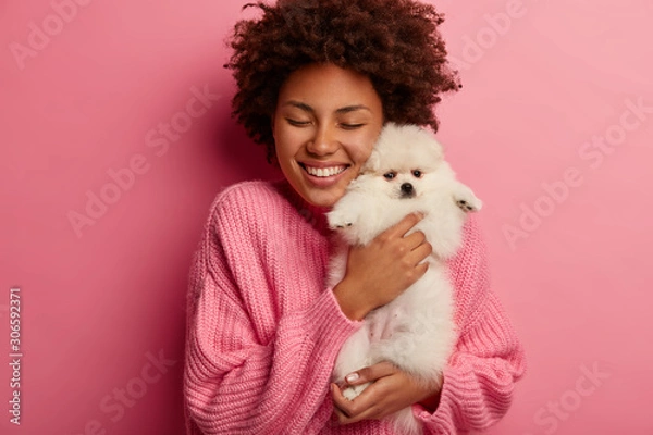 Fototapeta Photo of overjoyed curly young woman embraces white spitz with love, being very happy to get present she dreamt about, wears oversized jumper, models against pink background. Domestic animals