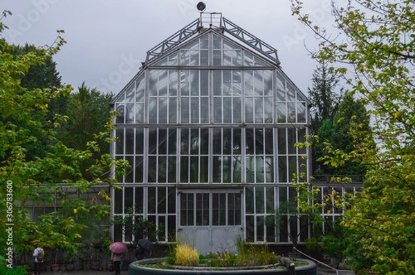 Fototapeta Glass greenhouse the blue sky with trees