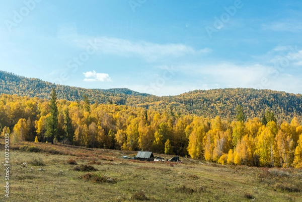 Fototapeta Autumn autumn in Xinjiang.