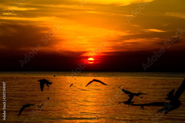 Fototapeta The blurred abstract background of the seagulls flying with the twilight light in the evening, and a multitude of birds on the branch while watching the evening.