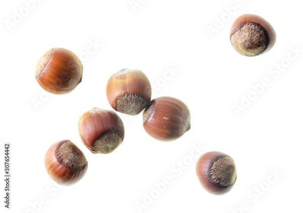 Fototapeta Hazelnuts nuts isolated on a white background