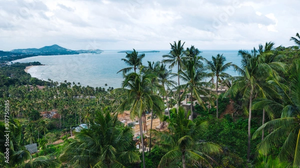 Fototapeta Aerial scenery view beautiful slope with lush palm trees. Bird's eye panoramic view of picturesque lagoon of populated Asian island in Thailand